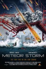 Movie poster: Meteor Storm
