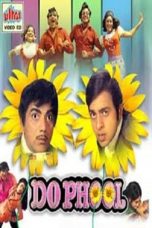 Movie poster: Do Phool