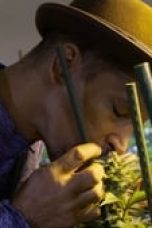 Movie poster: The Business of Drugs Season 1 Episode 5