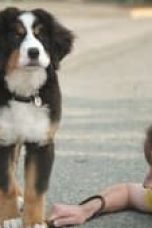 Movie poster: Super PupZ Season 1 Episode 3