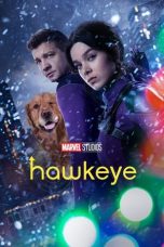 Movie poster: Hawkeye