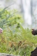 Movie poster: Vikings Season 2 Episode 10