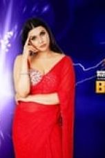 Movie poster: Bigg Boss Season 17 Episode 69