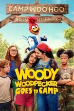 Movie poster: Woody Woodpecker Goes to Camp 2024