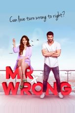 Movie poster: Mr. Wrong Season 1 Episode 17