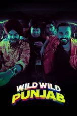 Movie poster: Wild Wild Punjab 2024