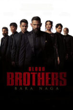 Movie poster: Blood Brothers: Dragon’s Embers (2025)