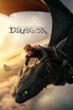 Movie poster: How to Train Your Dragon (2025)